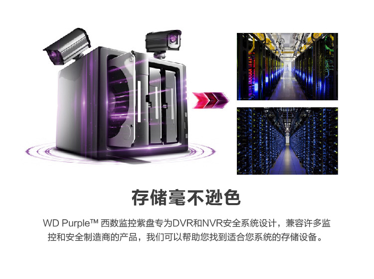 2005新澳正版资料最新更新，全面释义、详细解答解释落实