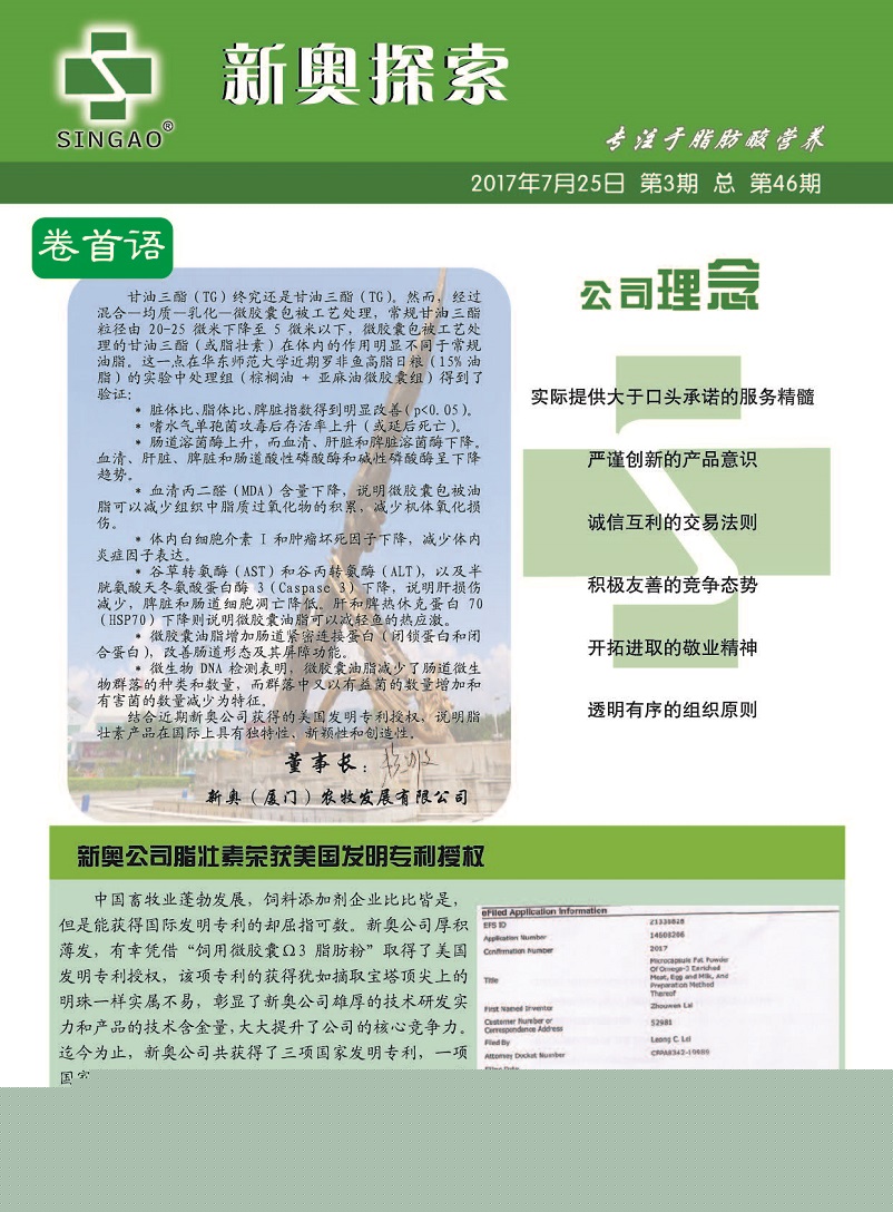 管家婆一码一肖资料大全，详细解答、详细解答解释落实